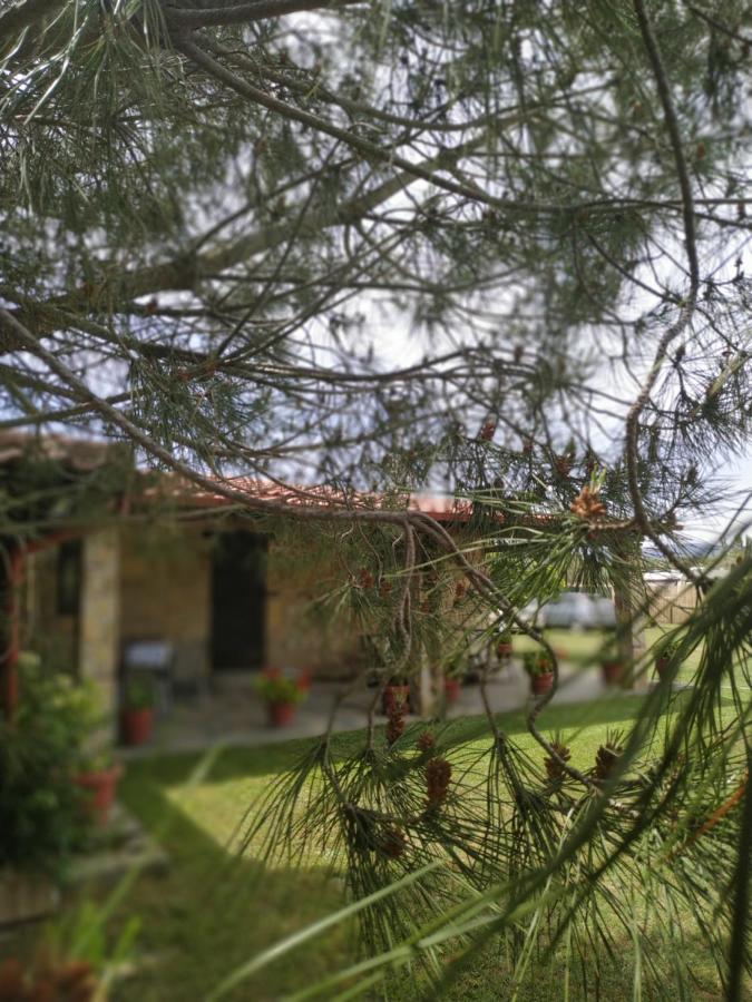 Konaki Guesthouse Ormos Panagias Buitenkant foto